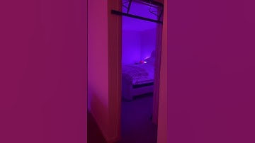 @neesaandrea apartment shows how WiZ lights transform your space, day or night 🌙. #WiZLighting