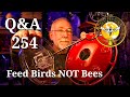 Backyard beekeeping questions and answers episode 254 its swarm season