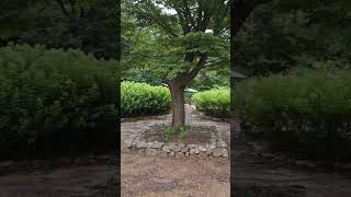 더스테이 영상