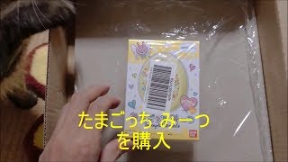 たまごっち みーつ  メルヘンみーつver  イエローの開封の儀