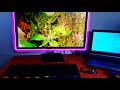 LG 24MK400H monitor unboxing and in-depth review *(updated 2020)*