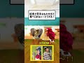 パペット劇「給食で苦手なものが出て食べられない！どうする！」