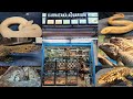 Indias 1st reptile shop karnataka aquarium