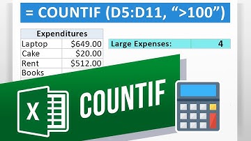 How to Use the COUNTIF Function in Excel | Count Cells That Match One Criterion