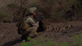 Marines Prepare for Alligator Dagger 2017