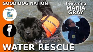 [LIFESAVING DOGS] Water Rescue Dogs w/ Maria Gray | Good Dog Nation Ep #2 (2019) by Good Dog in a Box 232 views 4 years ago 32 minutes