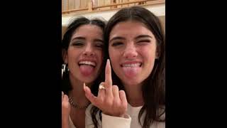 Charli D’amelio photos screenshot 5