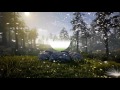 Epic Natural Logo
