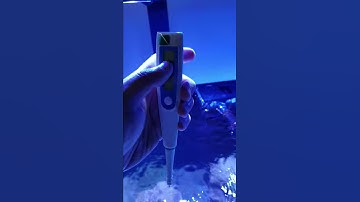 Scionix digital pocket salinity and temp tester