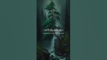 فِي بُيُوتٍ أَذِنَ اللَّهُ أَن تُرْفَعَ وَيُذْكَرَ فِيهَا اسْمُهُ،، القارئ أحمد الخضر،