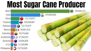 Most sugar cane producing countries || largest Sugar cane producer in the world