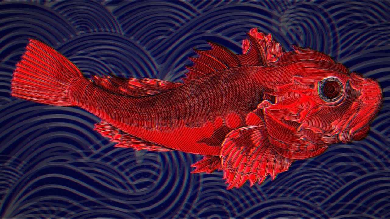 Who Is Red Herring? YouTube