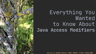 Everything You Wanted to Know About Java Access Modifiers