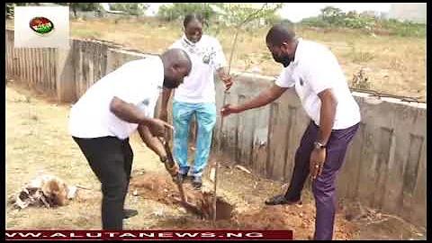 NGO Embarks On Nationwide Tree Planting In Nigeria Set to  Plant 10 million Trees Nationwide.