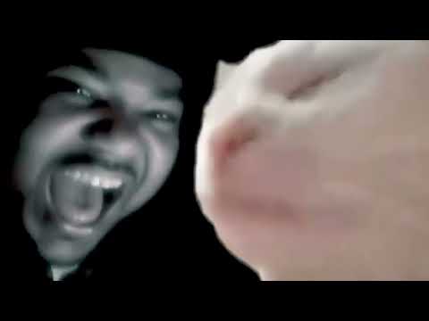 GORILLAZ Feel Good Inc But It S The Best Part Only 