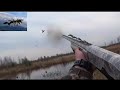 Охота на селезня "Отличная вечерка 2019" (Duck hunting)