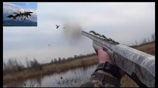 Охота на селезня "Отличная вечерка 2019" (Duck hunting) Охота на селезня "Отличная вечерка 2019" (Duck hunting)