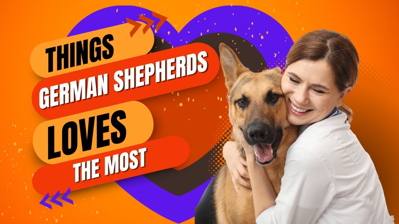 Things German Shepherds (Absolutely Love)!! Doing the Most"