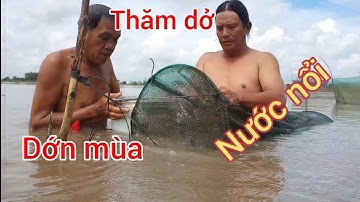 Khảivlog/mùa nước nổi trên cánh đồng cả nhóm đi thăm dớn và bắt cua đồng.