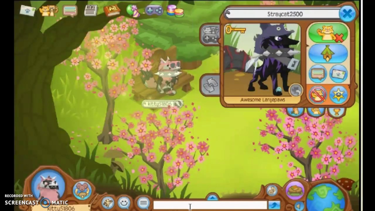 STRAYCAT2 AJ VIDEO CONTEST ENTRY FROM KITTY51806 BLACK LONG!