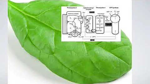 04 Dr. Milton Teske. Emerging Spirituality