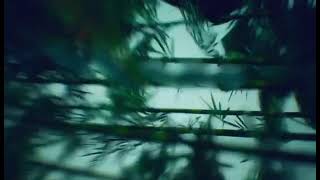 Channel Intro for Backyard Accelerated Lambing System