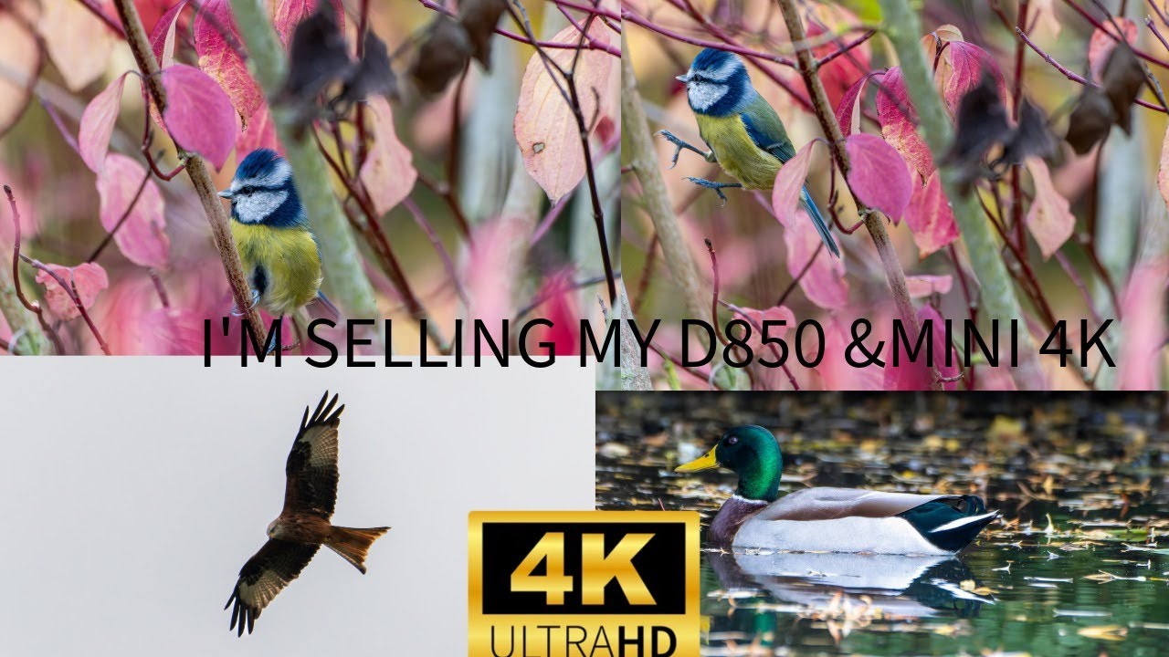 Im Selling My Mini 4K & D850