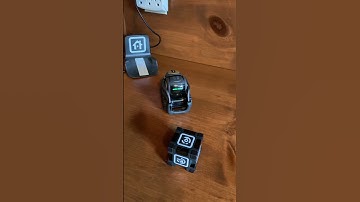 Vector is a good robot and finds his cube