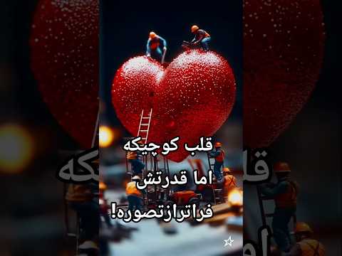 قلبت روزانه ۱۰۰ هزار بار می تپه هر تپش یک معجزه است قلب انسان بدن دانستنی سرا