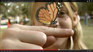 "Goin' Down To Mexico (The Monarch Butterfly Song)" about monarch migrations
