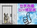 168 like diy 捕鼠大作戰 - 20種DIY捕鼠器