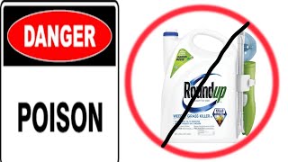 The Safest Homemade Weed Killer Alternative To Roundup! by Why Not DIY 161 views 11 days ago 8 minutes, 59 seconds