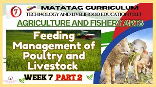 TLE Grade 7 Quarter 2 - AFA Week 7 PART 2: Feeding Management for Poultry and Livestock