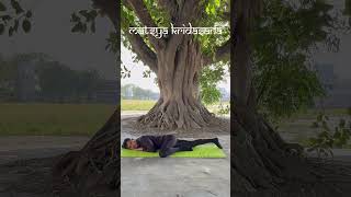 MATSYA KRIDASANA