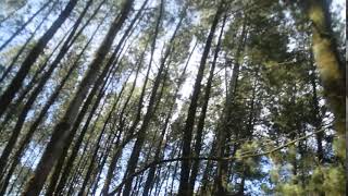Video Background Kota No Copyright | Video Perjalanan
