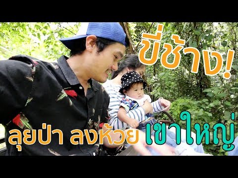 ขี่ช้างเข้าป่าลงห้วย เขาใหญ่ Jungle House Ep.5