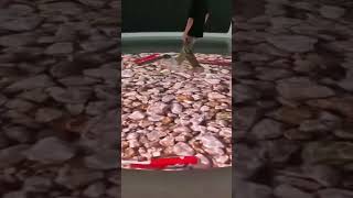 Ledinteractivefloorscreen.