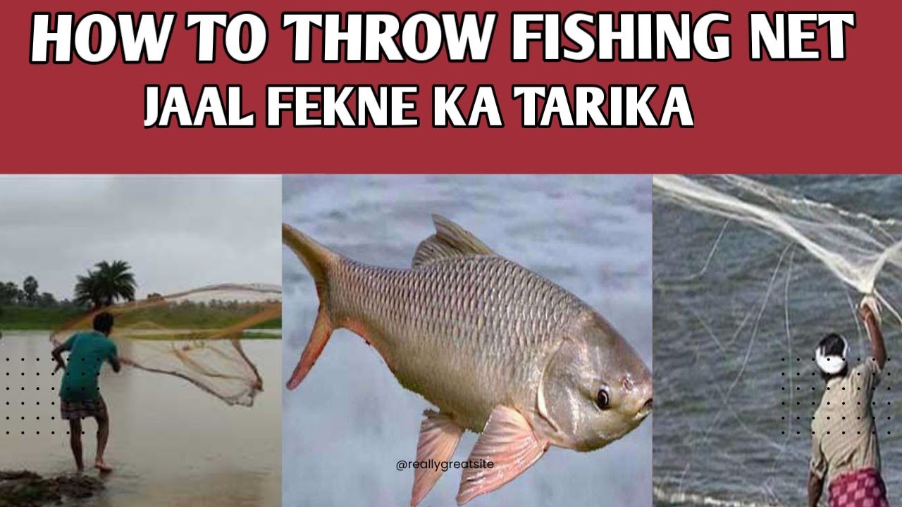 How to throw fishing net jaal fekne ka tarikasavlogssisaiindia
