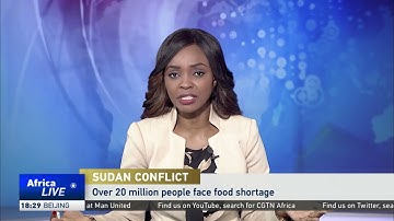 Over 20 million people face food shortage in Sudan as fighting continues
