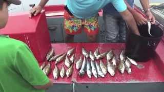 Porto do Son, Galicia ~ Espana ~ Fishing for Rock Fish