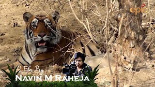 Animal Conflict - A film by Navin M Raheja