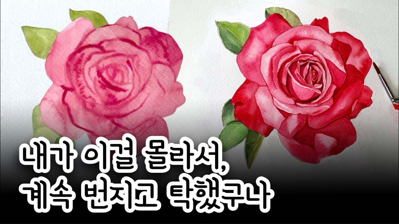 초보 수채화, 꽃 그림 맑게 그리는 한 가지 방법, 이게 전부입니다