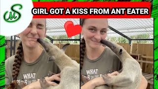Beautiful girl got a kiss from ant eater |funny animals kissing||media snack| screenshot 2