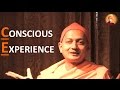 Swami Sarvapriyananda on 'CONSCIOUS EXPERIENCE'