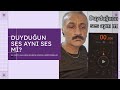 Müzik kulağı ses testi