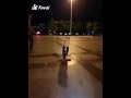 Dog rides an EUC