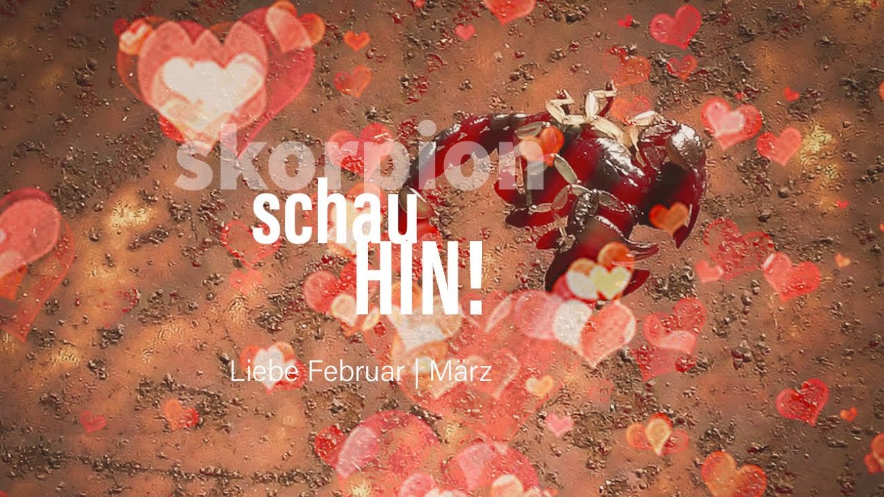 Skorpion Liebe Februar | März: Schau hin💖
