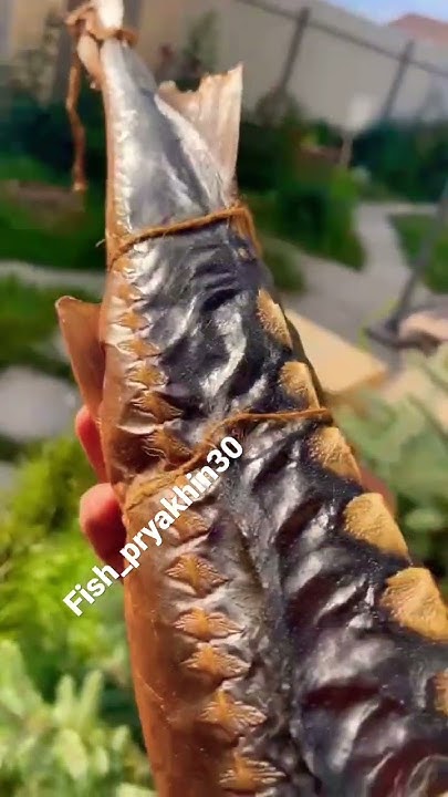 Обожаю рыбку горячего копчения #стерлядь #копченаярыба #вкуснятина # ...