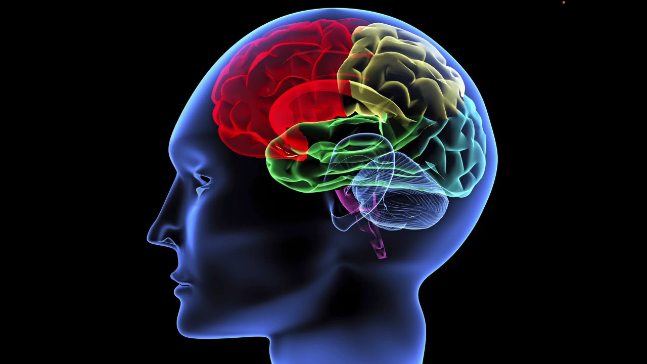 Developmental Milestones for children  4 - 5 Years old.