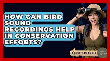 How Can Bird Sound Recordings Help In Conservation Efforts? - Bird Watching Diaries